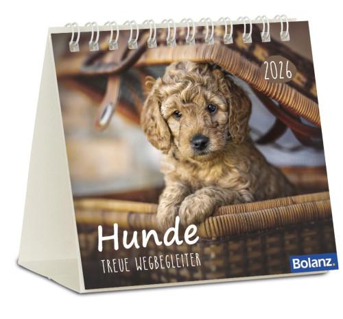 Kalender Hunde - Treue Wegbegleiter - Minikalender
