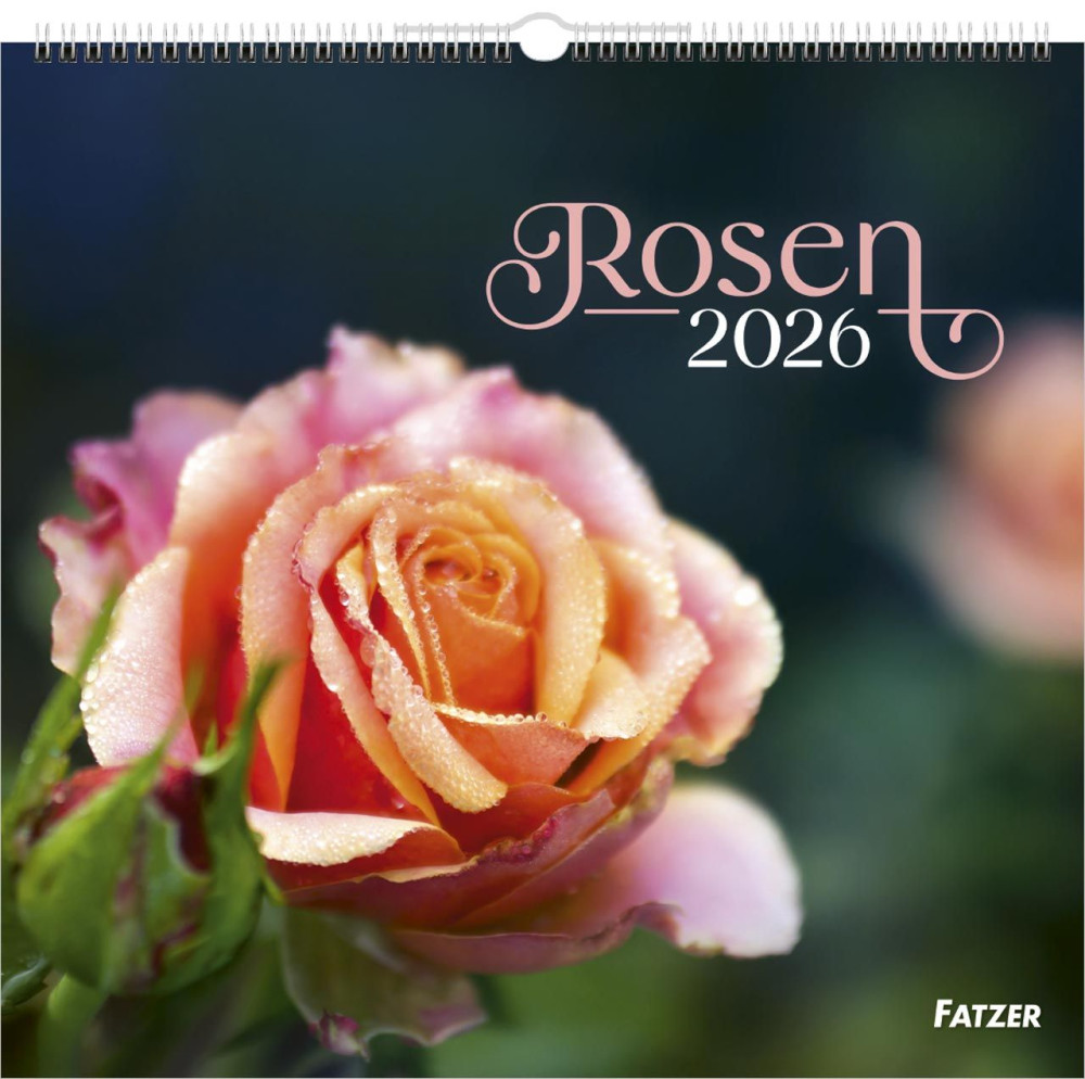 Rosen - Wandkalender