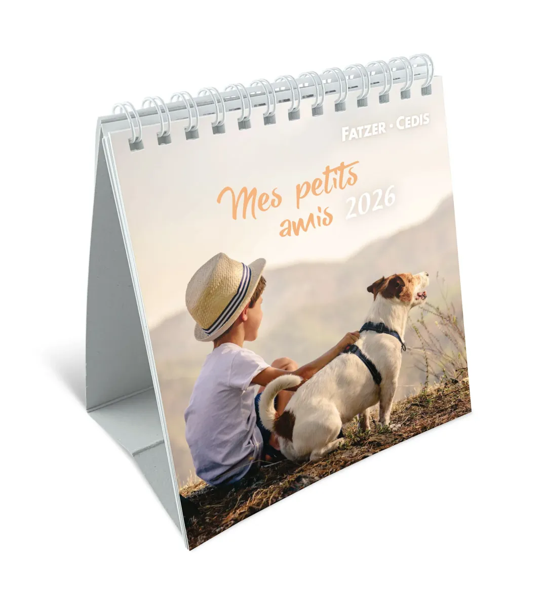 Mes petits amis avec versets bibliques - calendrier à poser