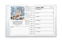 Agenda Color