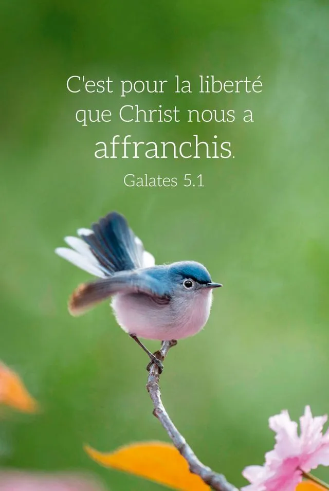 Calendrier format carte de crédit - Motif Oiseau (Galates 5.1)
