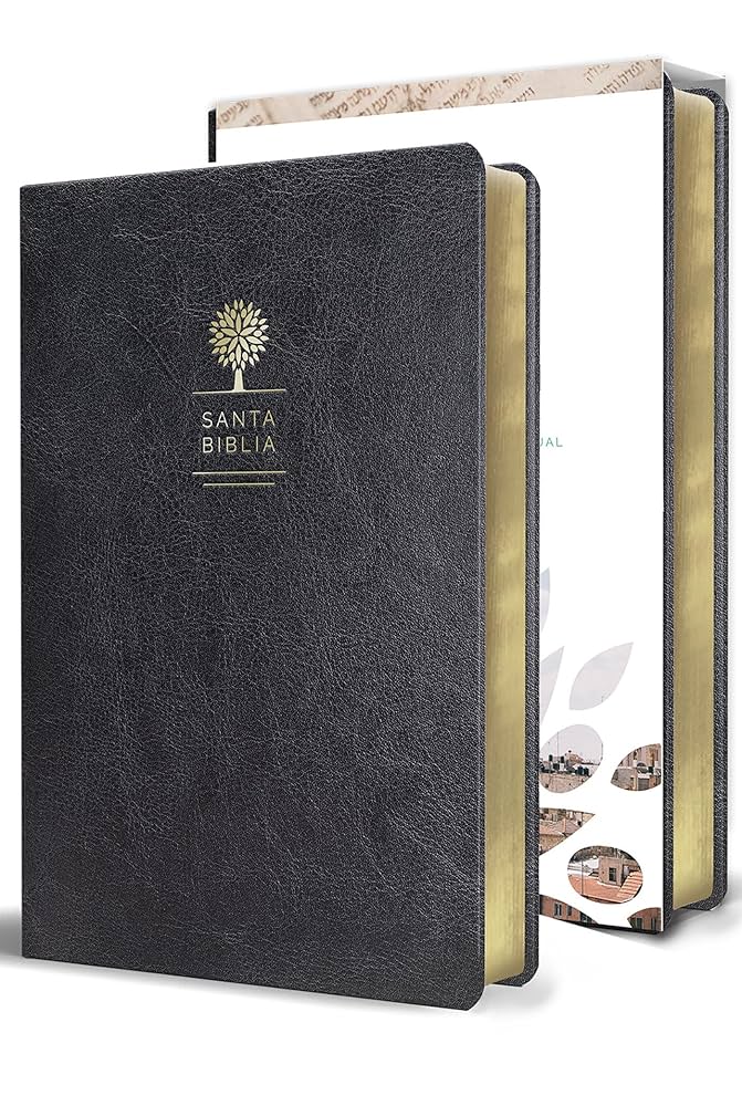 Spanisch, Bibel Reina Valera 1960, Grossdruck