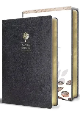 Spanisch, Bibel Reina Valera 1960, Grossdruck