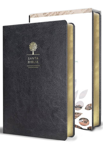 Spanisch, Bibel Reina Valera 1960, Grossdruck