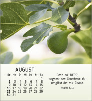 Stille Begegnungen - Tischkalender