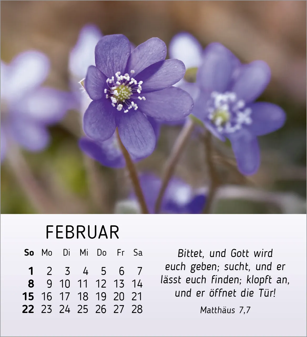 Stille Begegnungen - Tischkalender