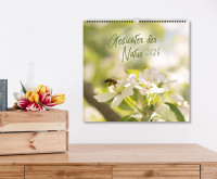 Gesichter der Natur - Wandkalender