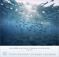 Natur Impressionen - Wandkalender
