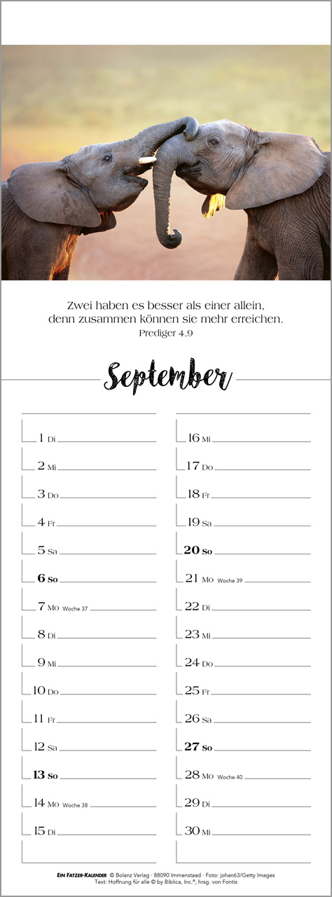 Denk dran - Streifenterminkalender