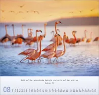 Licht Impressionen - Wandkalender