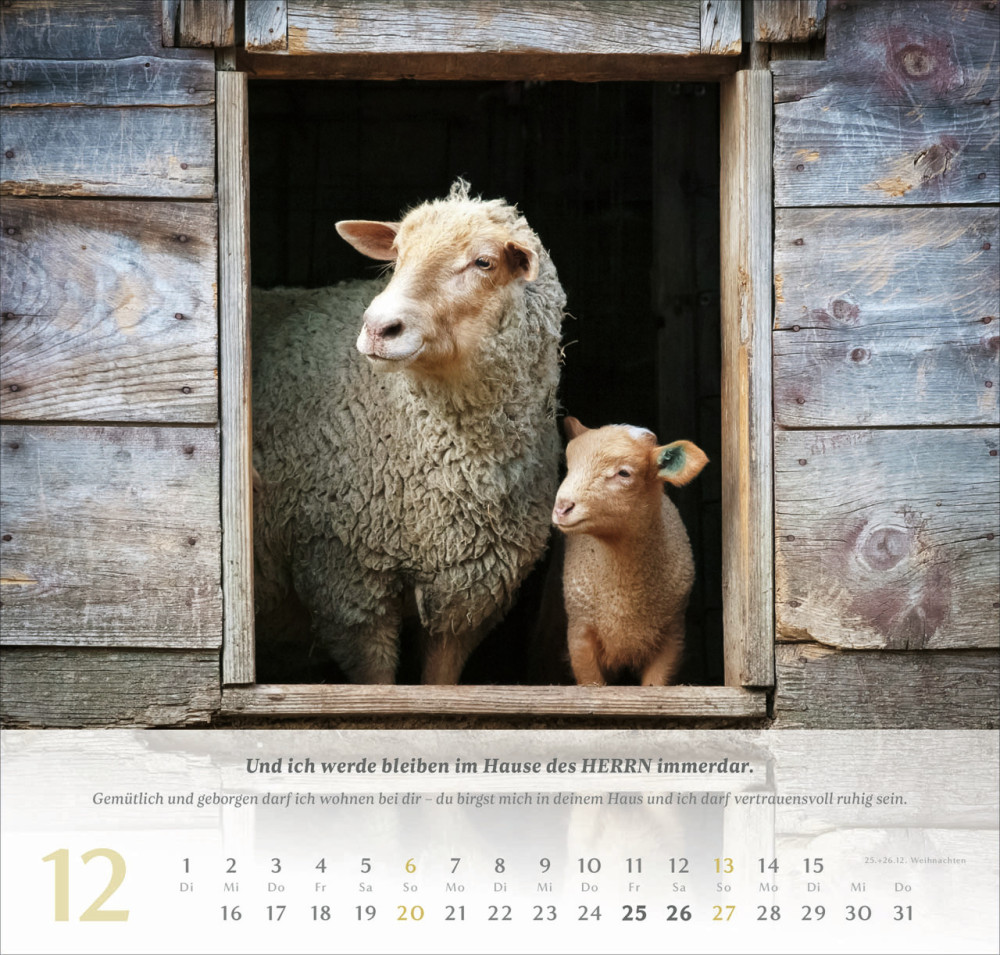 Psalm 23 - Der Herr ist mein Hirte - Wandkalender