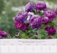 Rosen - Wandkalender