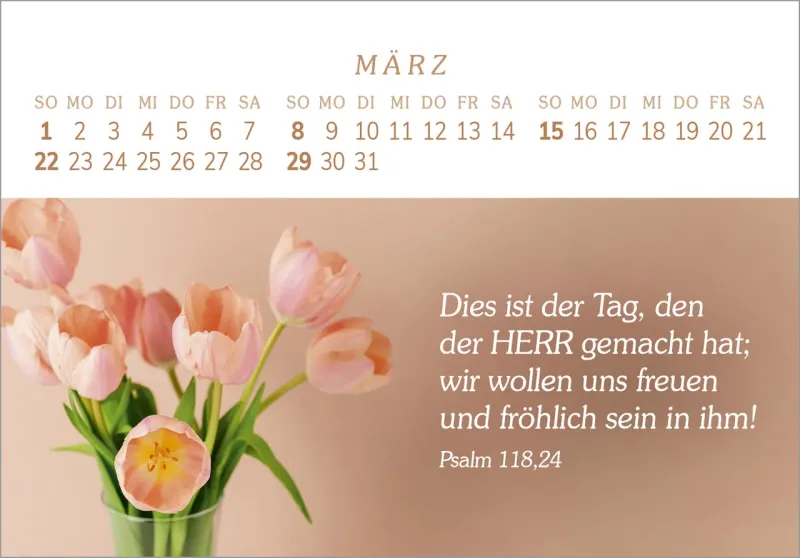 Das Geschenk der Freude - Panorama-Tischkalender