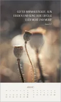 Zarte Blumengrüsse - Wandkalender