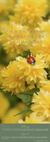 Impressionen lebendiger Worte - Super-Posterkalender im Hochformat