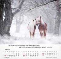 Kalender Pferde - Tischkalender