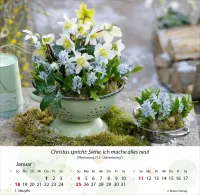 Gärten - Tischkalender