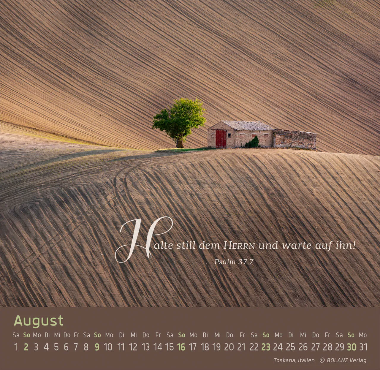 Weg-Licht-Leben - Tischkalender