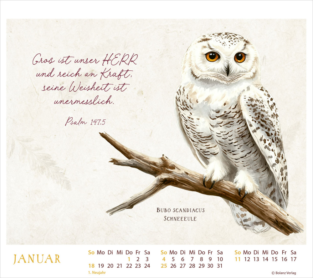 MeisterWerke des Schöpfers - Tischkalender