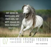 Kalender Pferde - Elegante Schönheiten - Minikalender