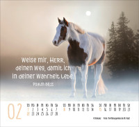 Kalender Pferde - Elegante Schönheiten - Minikalender