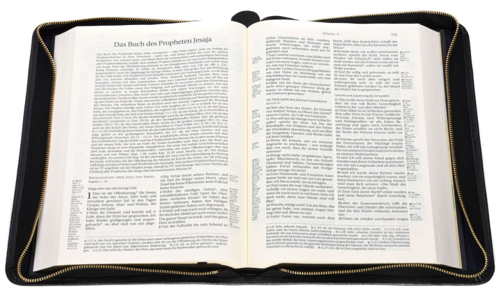 Schlachter 2000 Standardausgabe mit Echtleder-Bibelhülle - Hülle in leicht genarbten Echtleder...