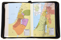 Schlachter 2000 Standardausgabe mit Echtleder-Bibelhülle - Hülle in leicht genarbten Echtleder...