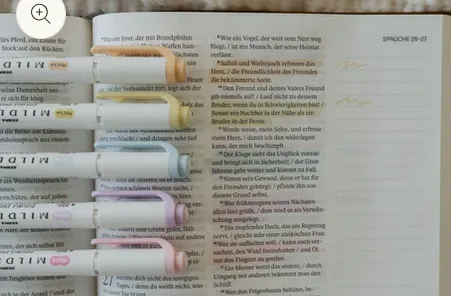 Zebra Mildliner Highlighter "Frühling" - (Filzstifte können durchdrücken je nach Handhabung)