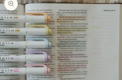 Zebra Mildliner Highlighter "Frühling" - (Filzstifte können durchdrücken je nach Handhabung)
