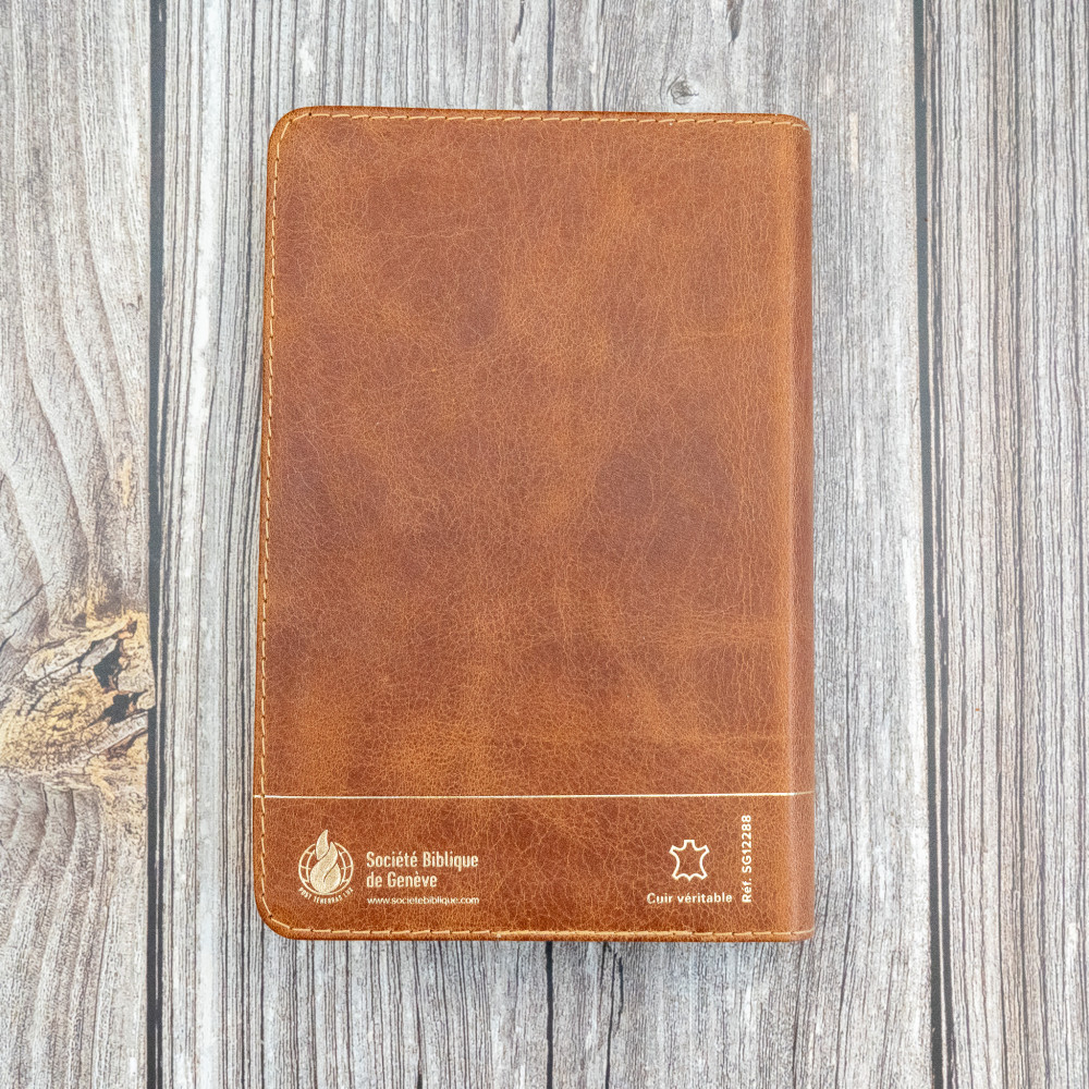 Bible Segond 21 compacte (Premium Style) - couverture souple, cuir brun, avec tranches dorées