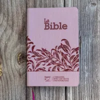 Bible Segond 21 compacte (Premium Style) - couverture souple, toile rose avec paillettes