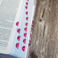 Bible Segond 21 compacte (Premium Style) - couverture souple, toile rose avec paillettes