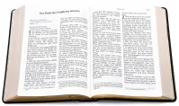Bibel Schlachter 2000 Grossdruckausgabe, Kalbsleder-Einband (flexibel), Goldschnitt, Fadenheftung...