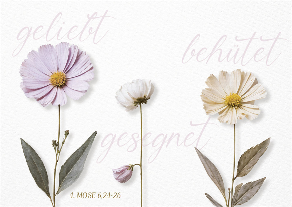 Postkarte geliebt - behütet - gesegnet - 4. Mose 6,24-26
