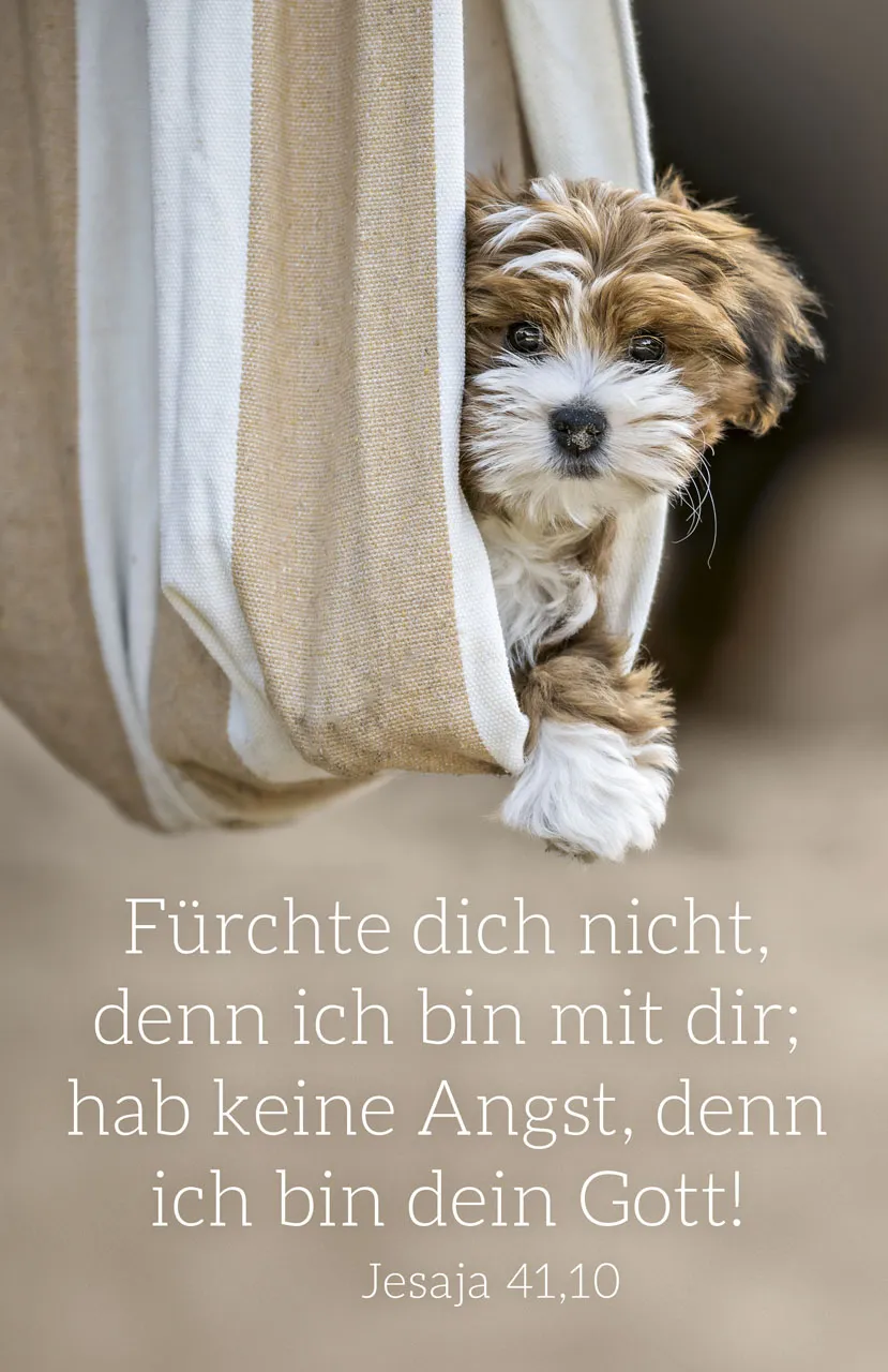 Postkarte Jahreslosung 2027 Hund - Jesaja 41,10