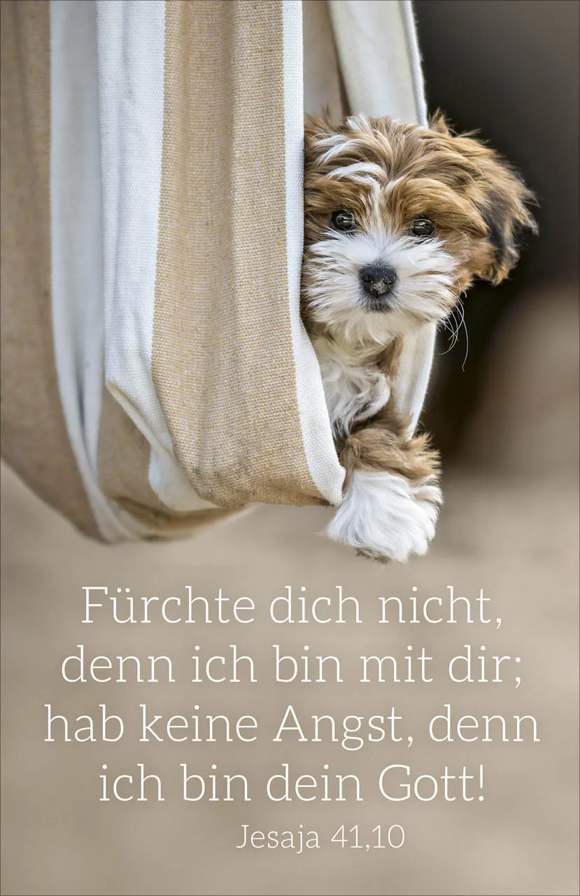 Poster A4 Jahreslosung 2027 Hund - Jesaja 41,10