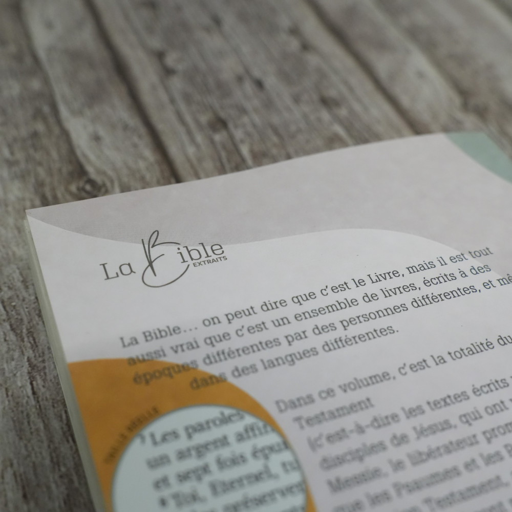 Nouveau Testament, Psaumes et Proverbes, Segond 21, gros caractères - broché