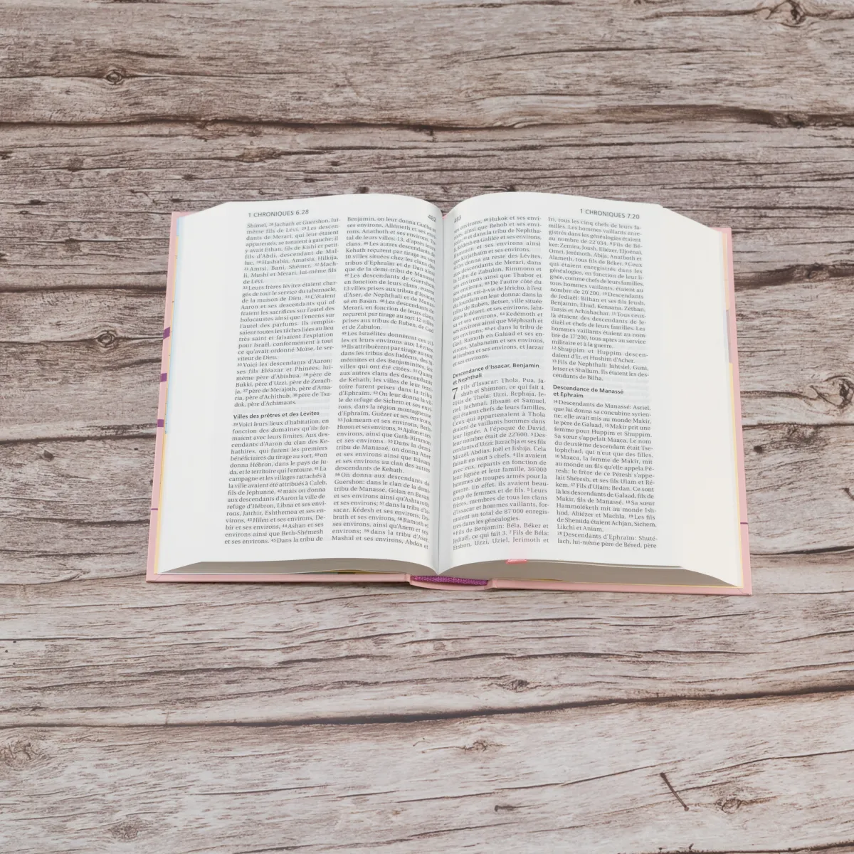 Segond 21 Bibel französisch kompakt - Hardcover rosa Marshmallow