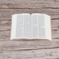 Segond 21 Bibel französisch kompakt - Hardcover Skivertex rosa Marshmallow