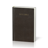 Englisch, Bibel Amplified, kompakt, kartonniert, braun mit illustrierter Umschlag