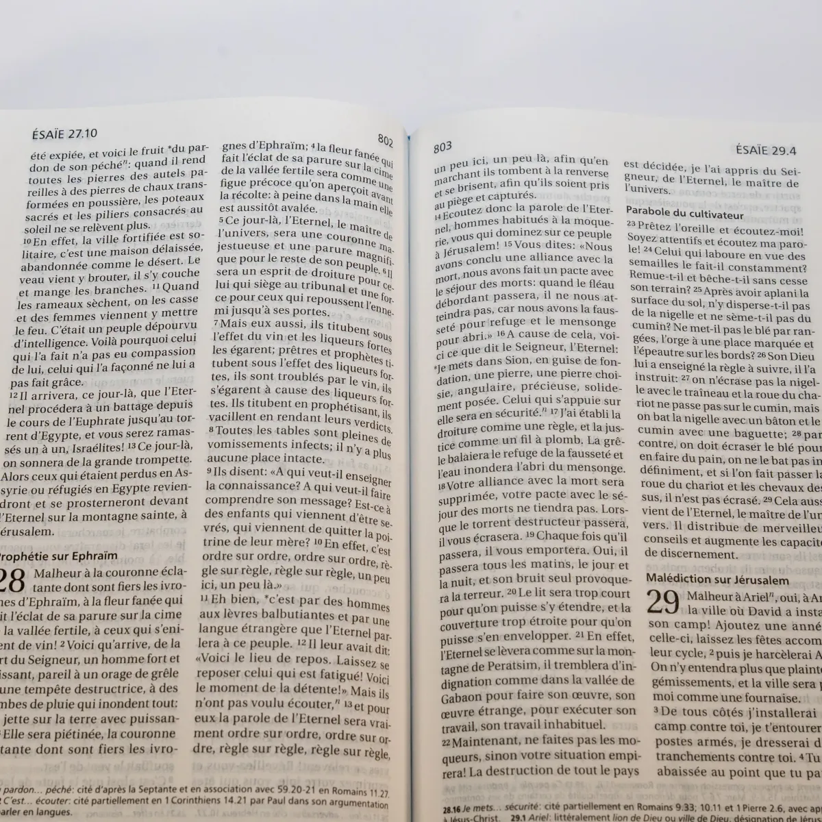 Bibel Segond 21, französisch, (Premium Style) - halbsteifer Einband aus Duoleder in...