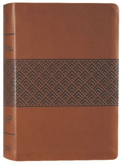 Englisch, Studienbibel Christian Standard Bible, braun