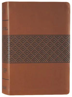 Englisch, Studienbibel Christian Standard Bible, braun