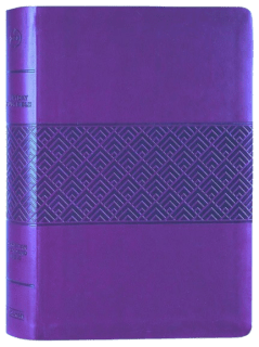 Englisch, Studienbibel Christian Standard Bible, weinrot