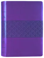 Englisch, Studienbibel Christian Standard Bible, weinrot