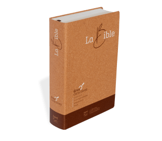 BIBEL SEGOND 21, GROSSDRUCK,