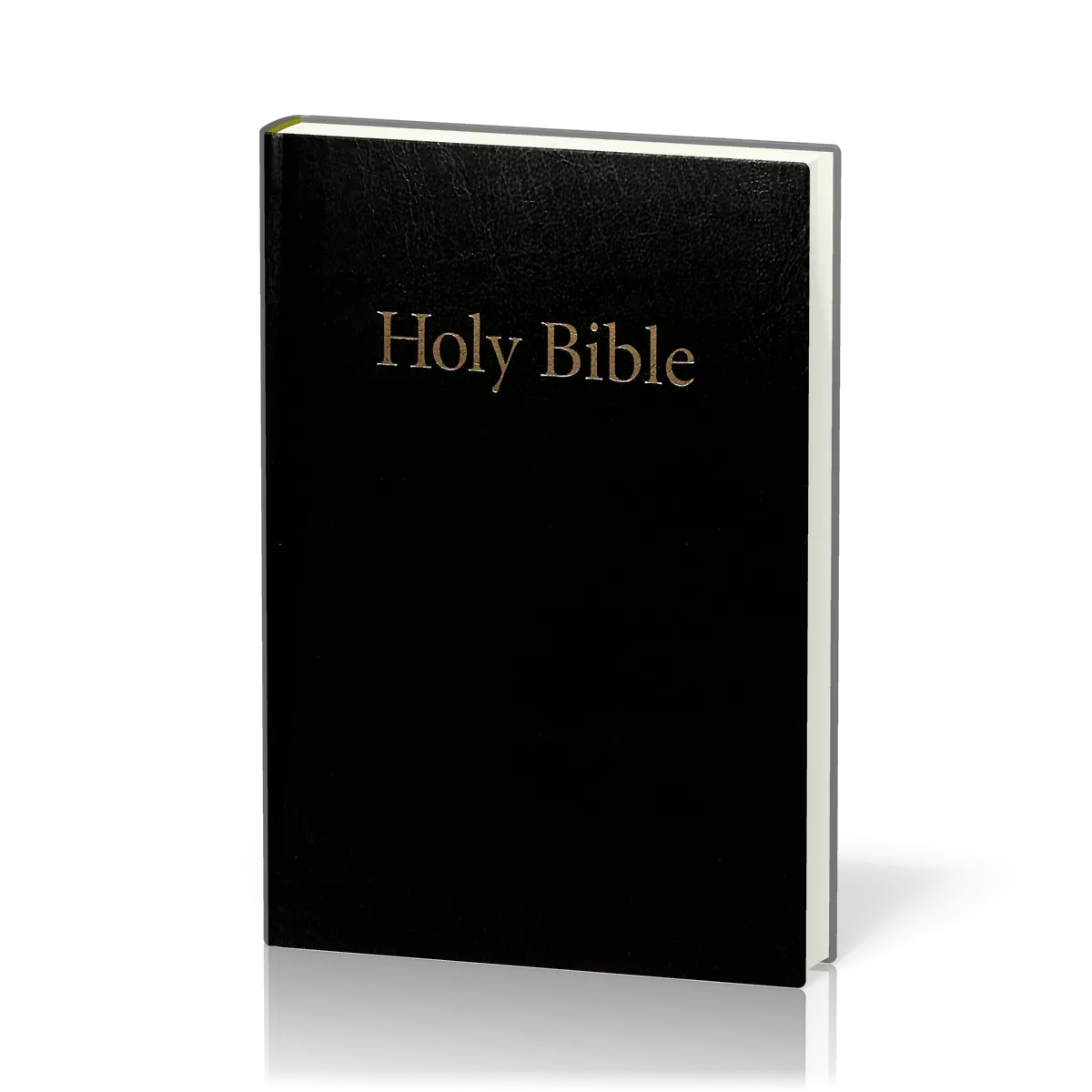 Englisch, Bibel King James Verison, mittelgross, kartonniert, schwarz