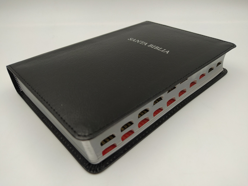 Espagnol, Bible, Reina Valera  1960, gros caractères, moyen format, fibrocuir souple noire,...