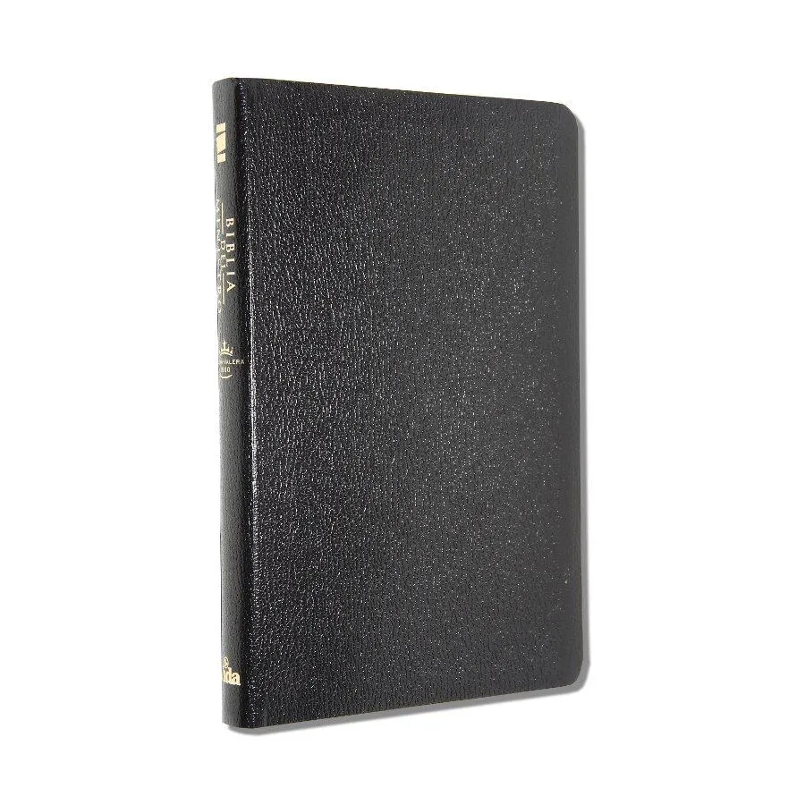 Spanisch, Bibel, Biblia del Ministro, Kunstleder