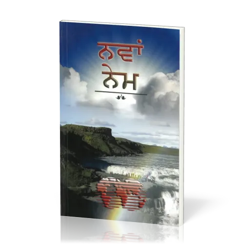 Punjabi, Neues Testament, Paperback